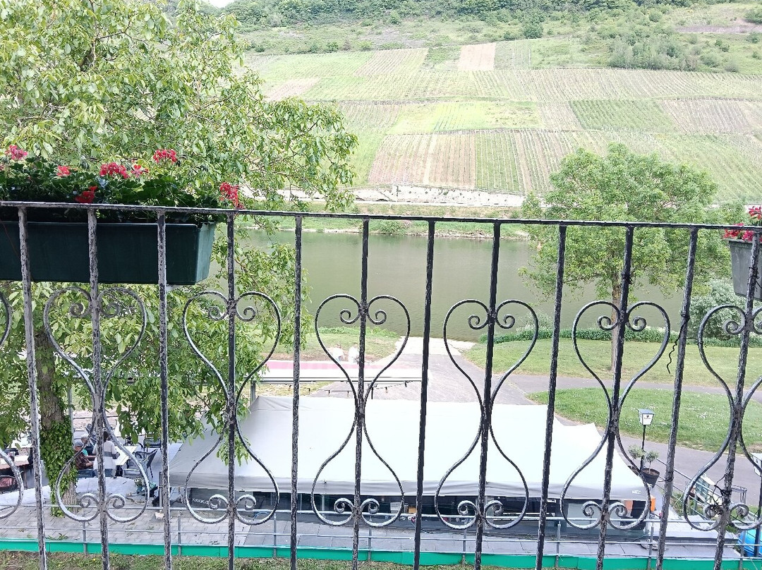Ferienweingut Haus Karina主图