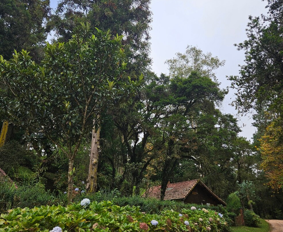 Bosque do Gato de Botas-蒙特贝尔德必去景点