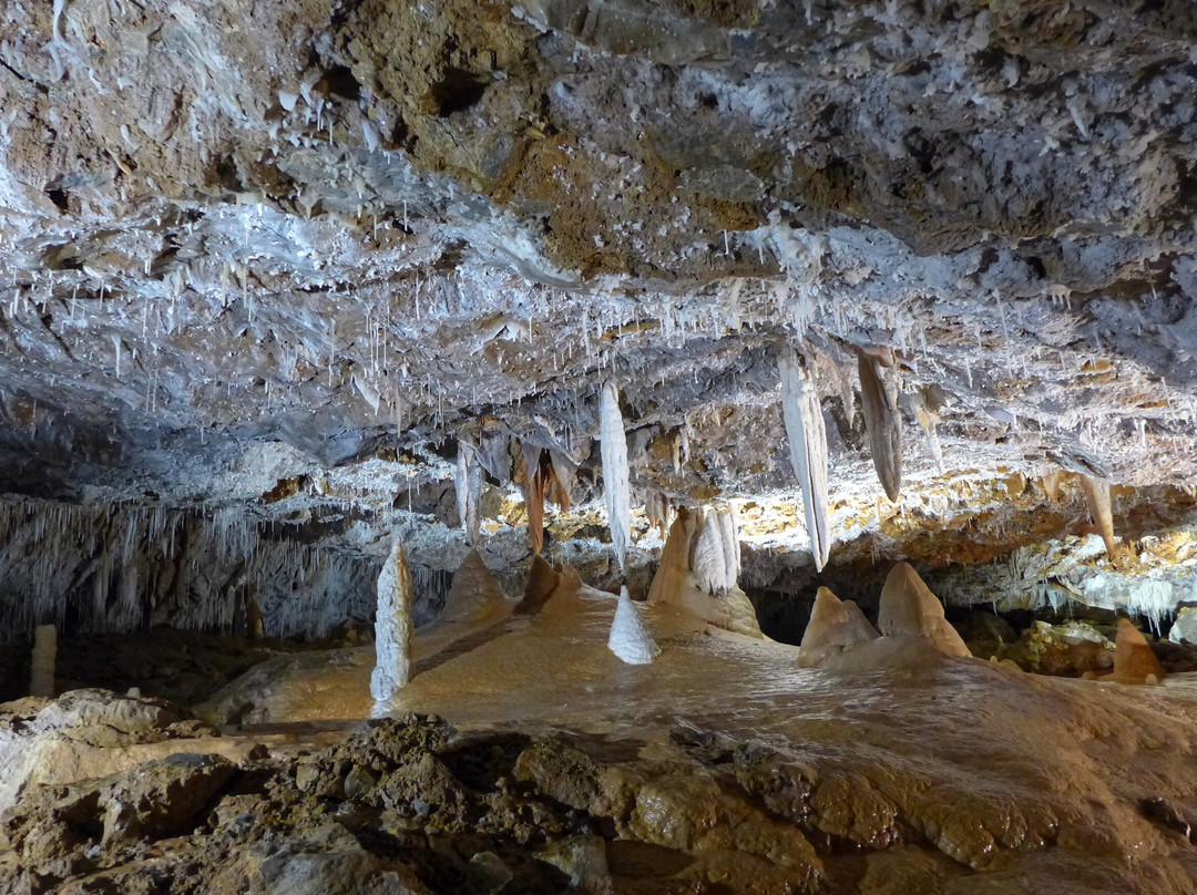 Grotte di Borgio Verezzi-Borgio Verezzi必去景点