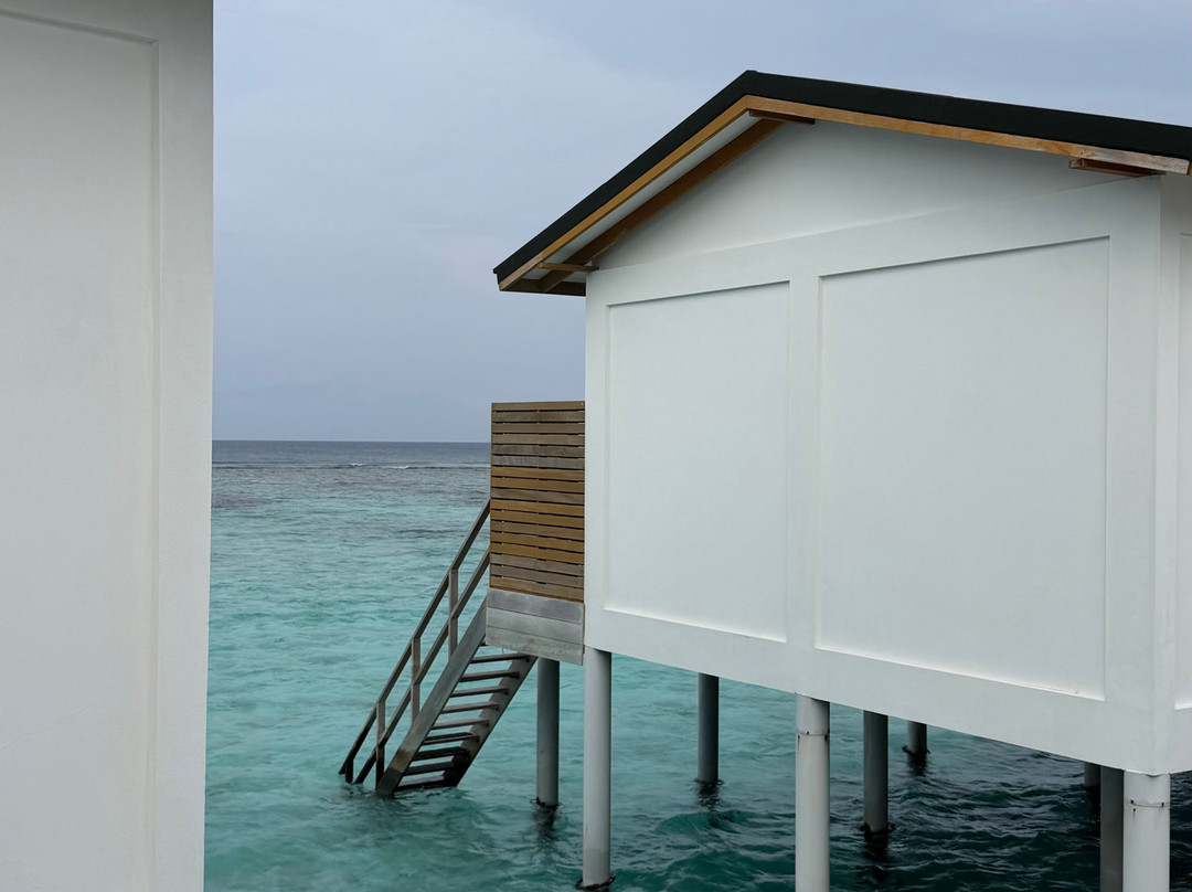 Joy Island Maldives by Cocoon Collection主图