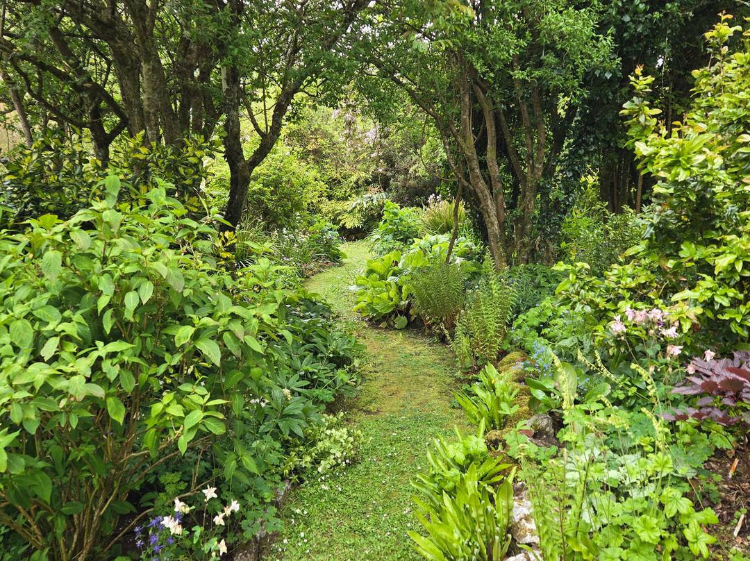 Caher Bridge Garden-Ballyvaughan必去景点