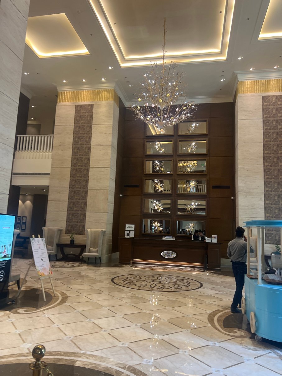 印多尔宫殿喜来登大酒店-旅行者