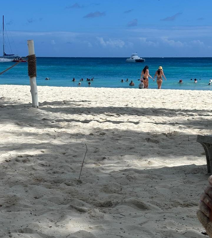 Saona Island-La Altagracia Province必去景点