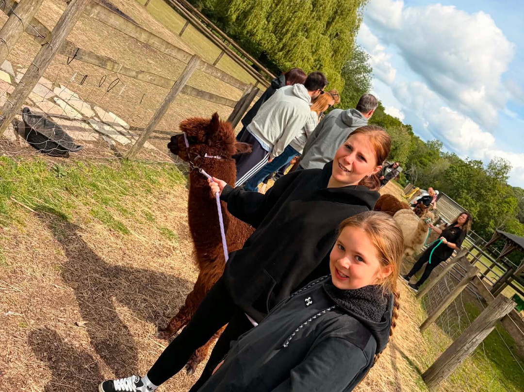 Pennybridge Farm Alpacas-胡克必去景点
