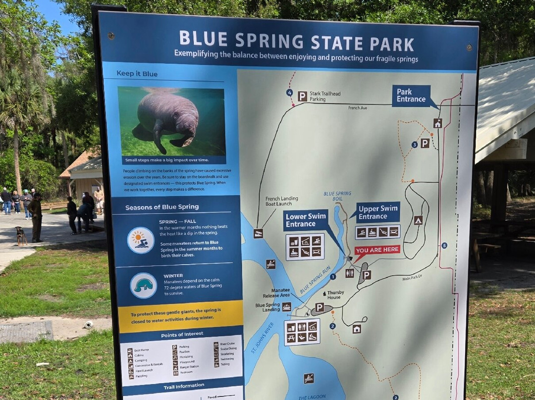 Blue Spring State Park-橙县必去景点