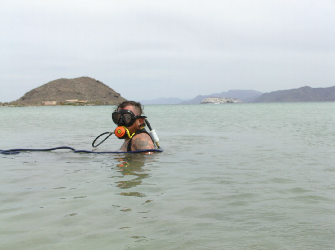 Mulege Madness-Mulege必去景点