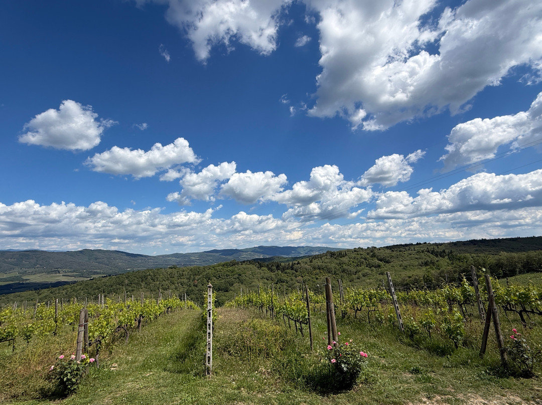 Solatione-Mercatale di Val di Pesa必去景点
