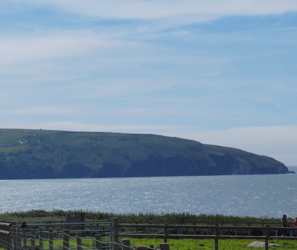 Cardigan Island Coastal Farm Park-Cardigan必去景点