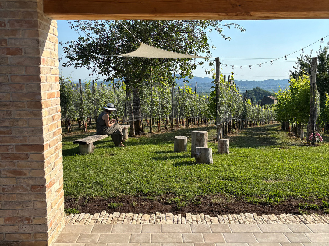 Azienda Agricola Acerle-Santo Stefano必去景点