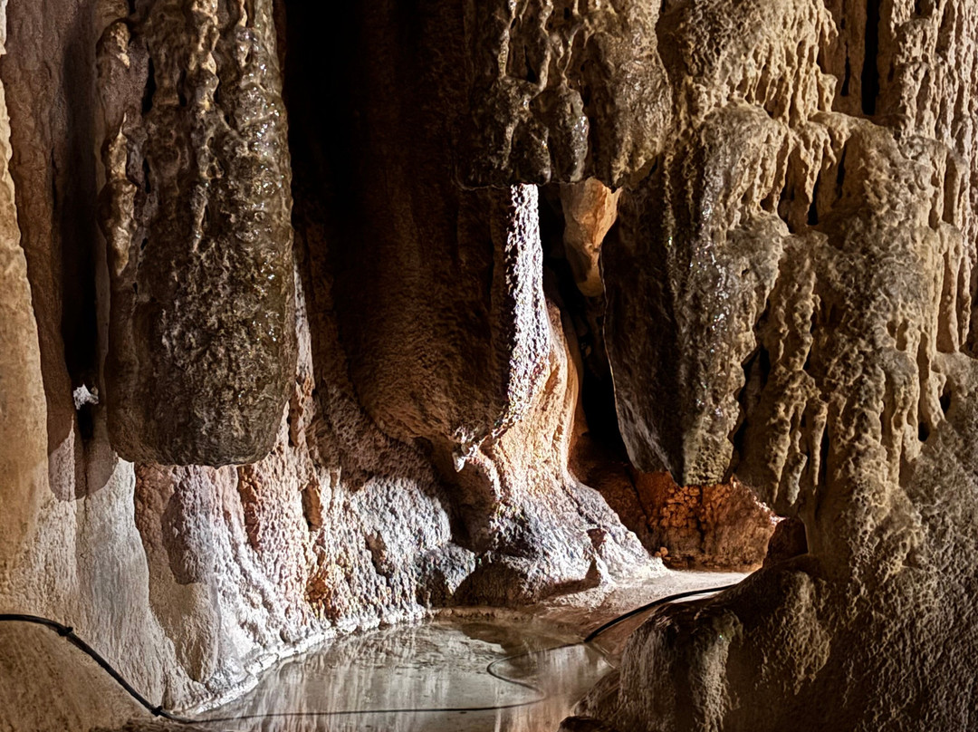 Grotte de Lombrives-Ussat必去景点