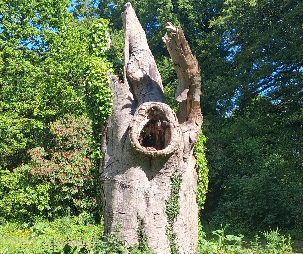 Galloway House Gardens-Newton Stewart必去景点