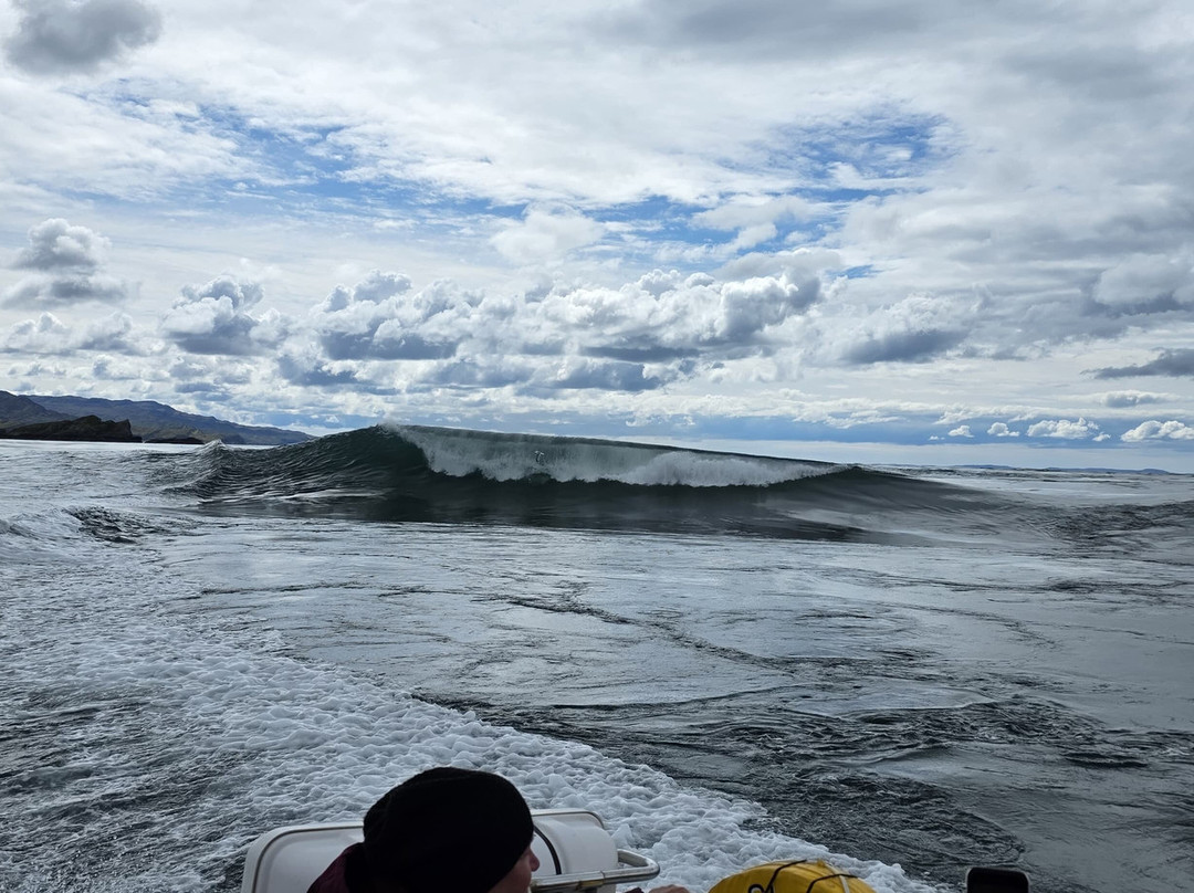 Islay Sea Adventures-Port Ellen必去景点