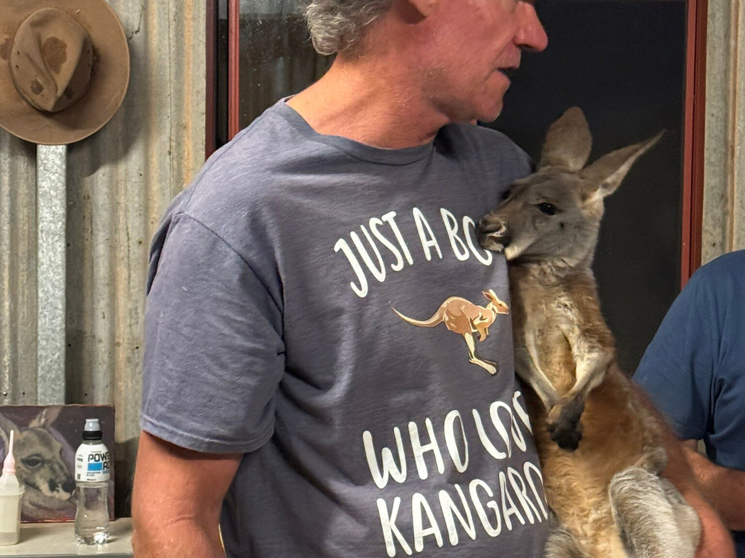 The Kangaroo Sanctuary-爱丽斯泉必去景点