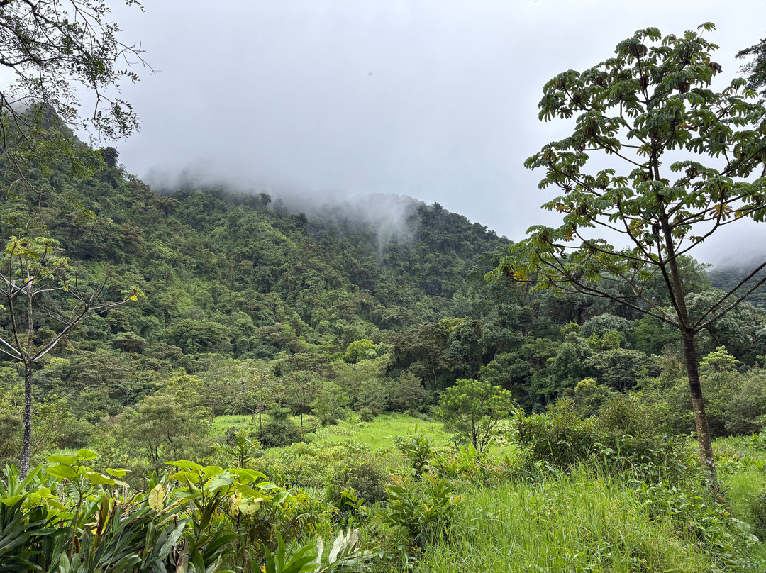 Finca Ecologica San Luis-蒙特沃德必去景点