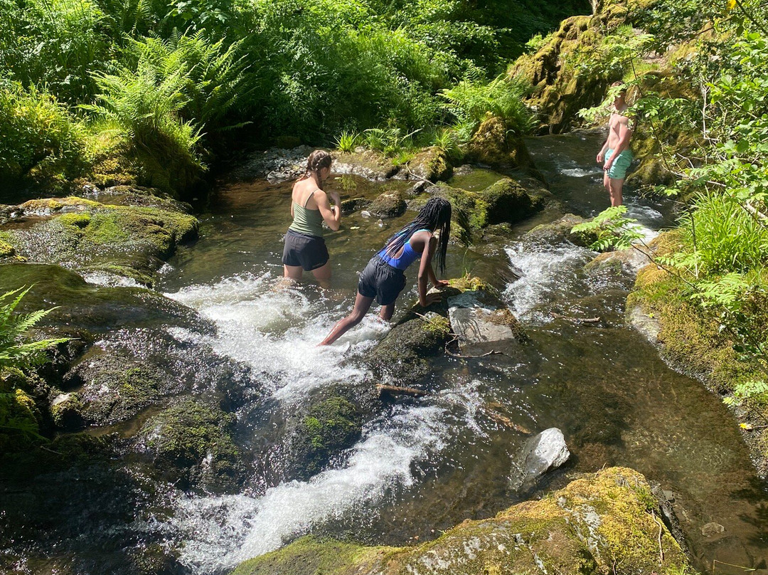 Dolgoch Falls-雪墩国家公园必去景点
