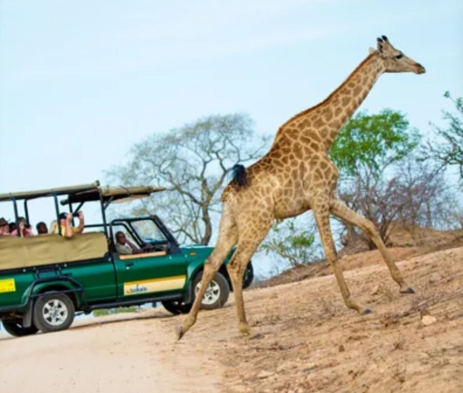 South Luangwa National Park-Mpika必去景点