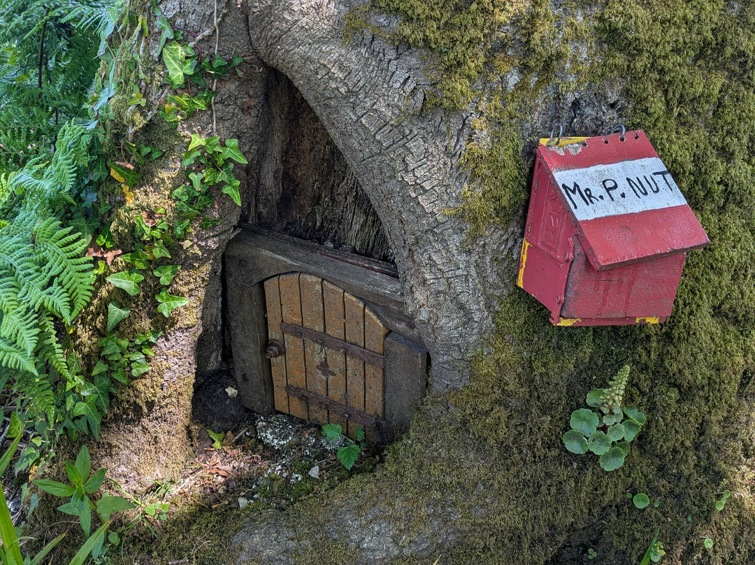 Tanglewood Wild Garden-彭赞斯必去景点