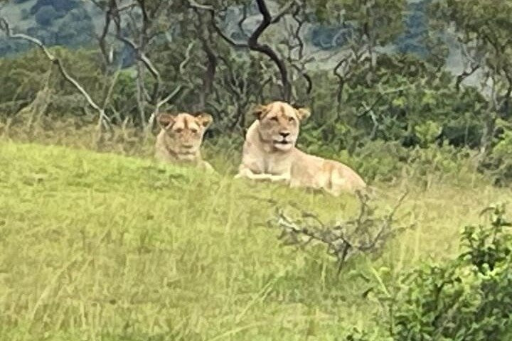 Visit Africa Safaris