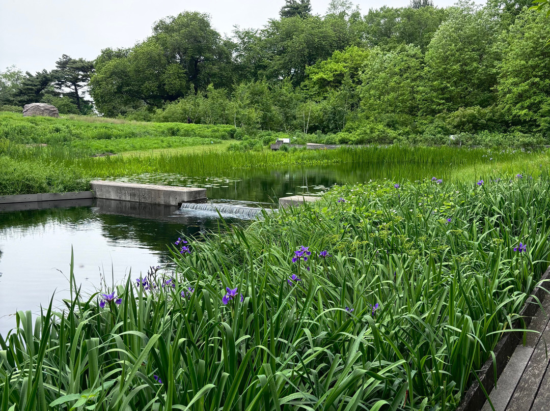 纽约植物园-布朗克斯必去景点