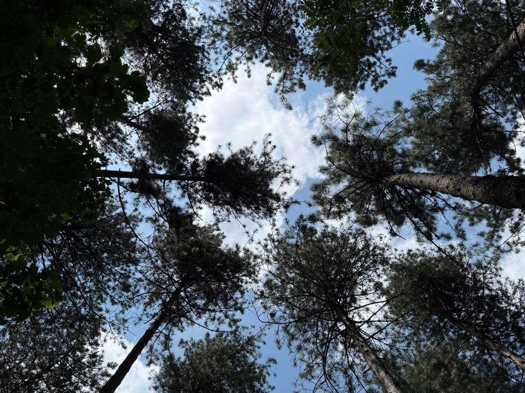 Parco Avventura Montevergine-Ospedaletto d'Alpinolo必去景点