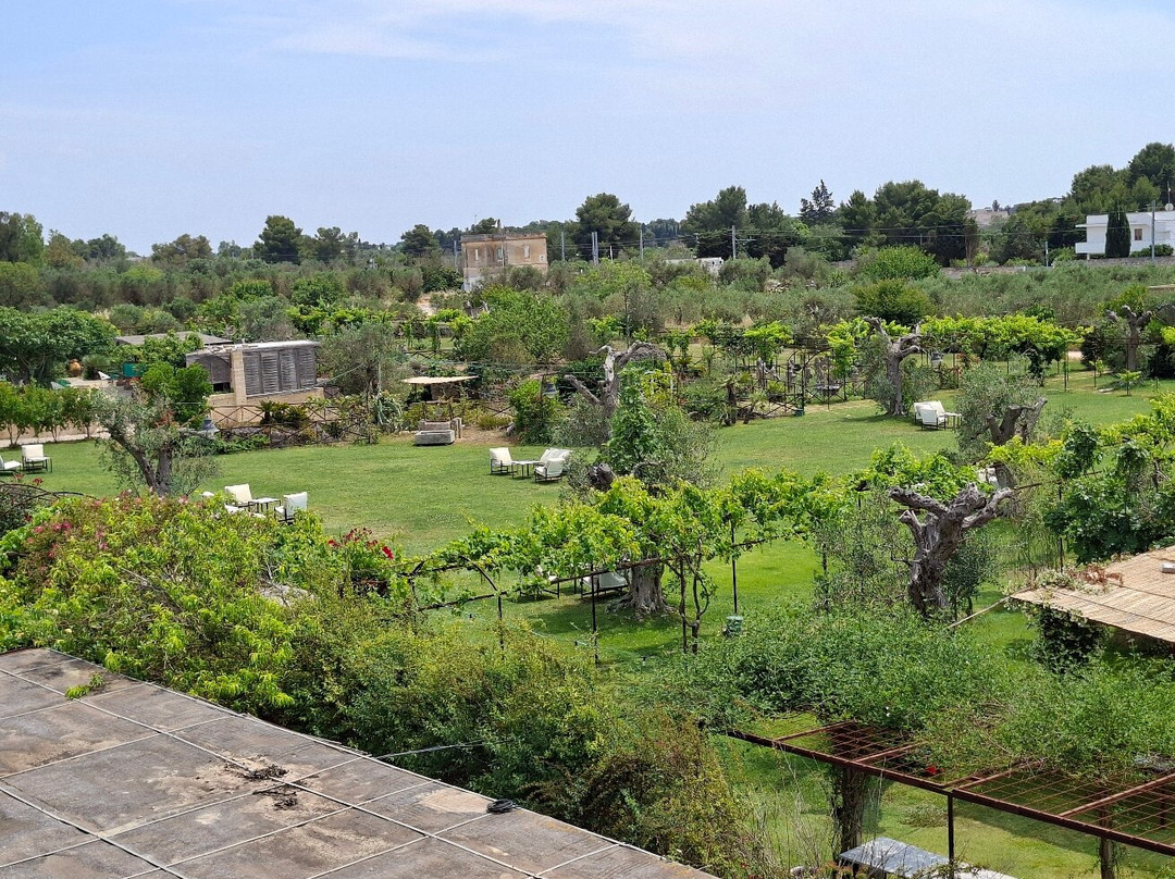 Agriturismo Li Calizzi Arte & Natura主图