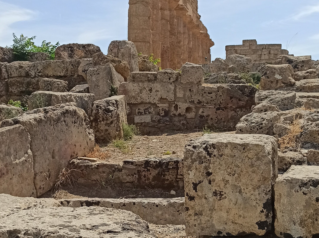 Parco Archeologico Selinunte-Castelvetrano必去景点