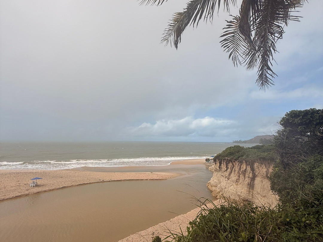 Tabatinga Beach-Conde必去景点