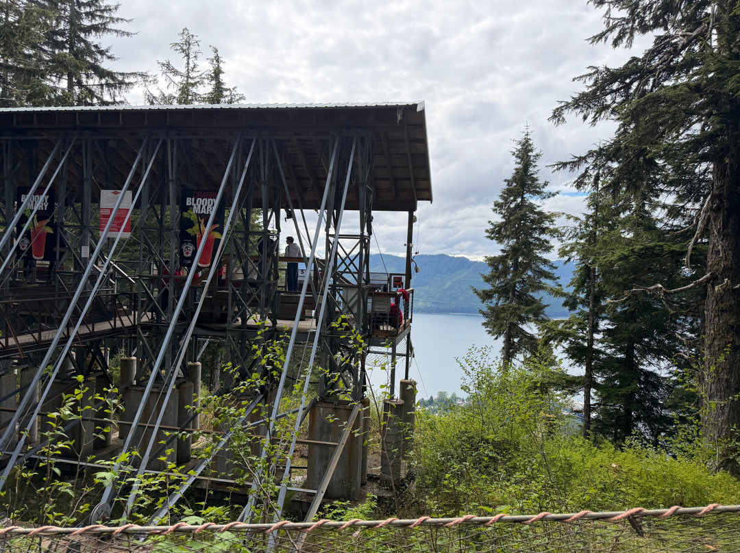 Icy Strait Point ZipRider-胡纳必去景点
