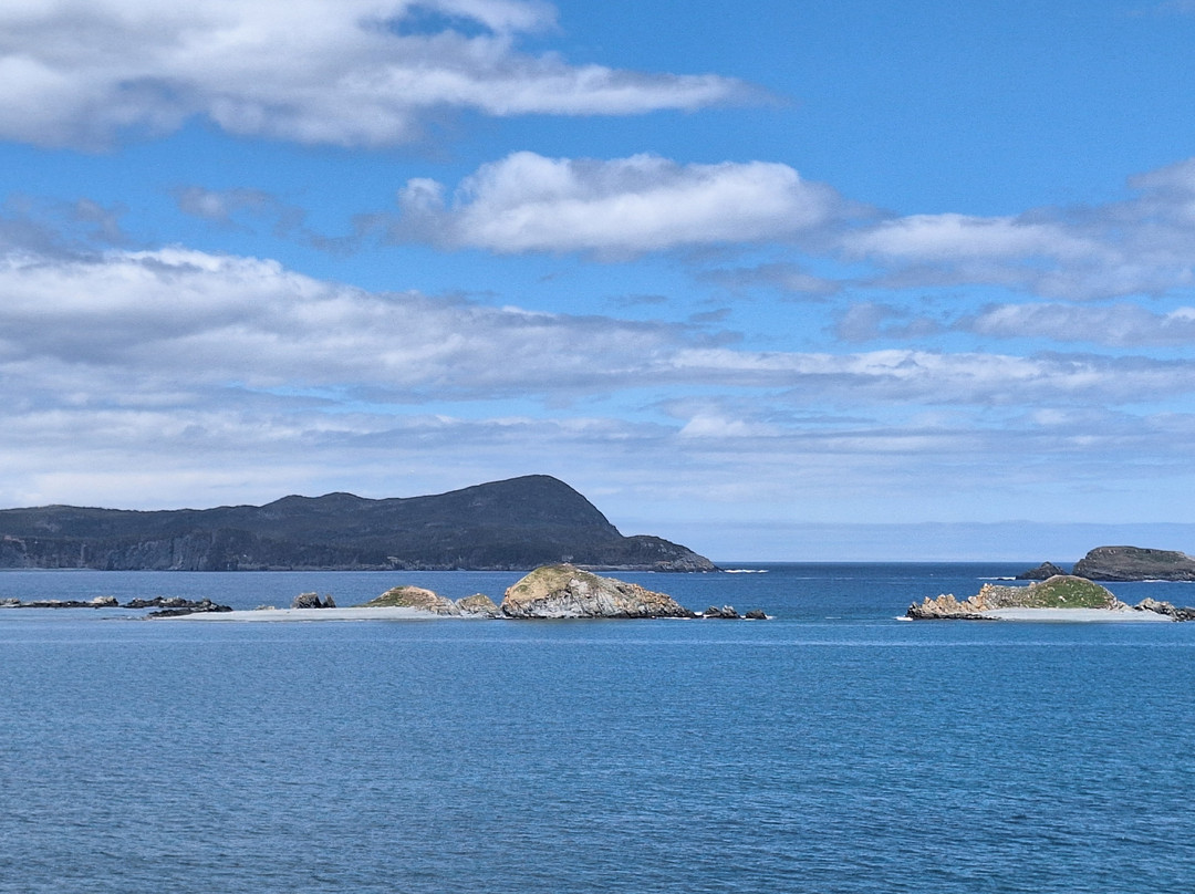 Ferryland Town-Ferryland必去景点
