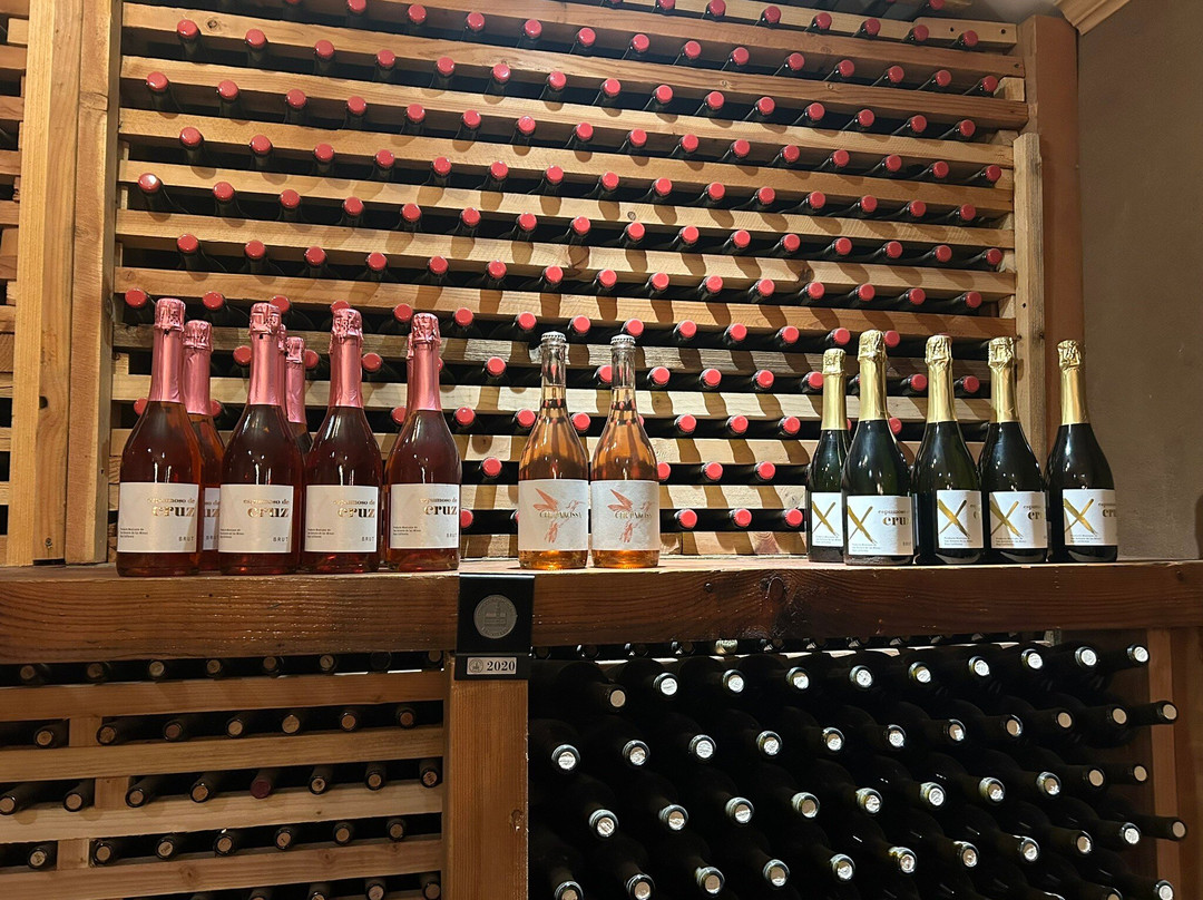 Vinos Cruz-San Antonio de las Minas必去景点