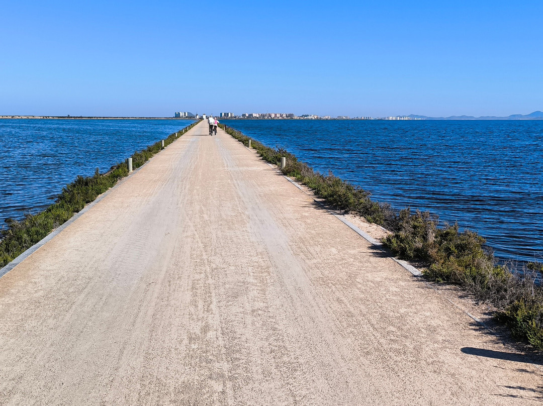 Parque Regional Salinas-San Pedro del Pinatar必去景点