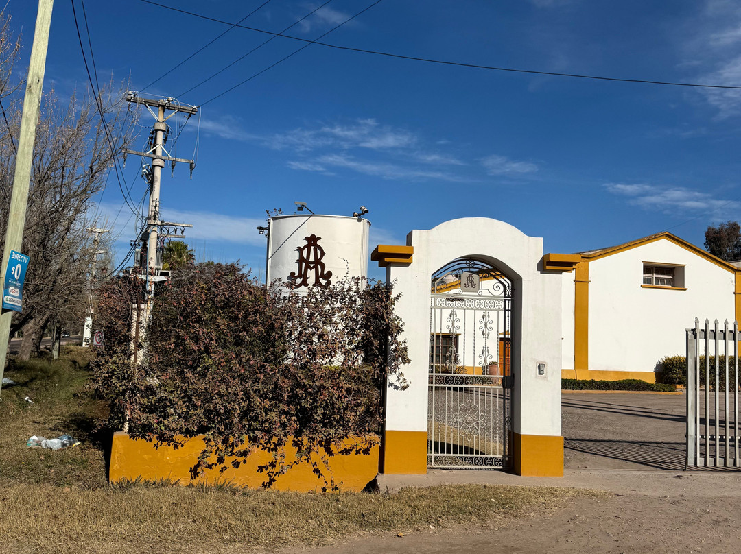 Bodega Alfredo Roca-圣拉斐尔必去景点