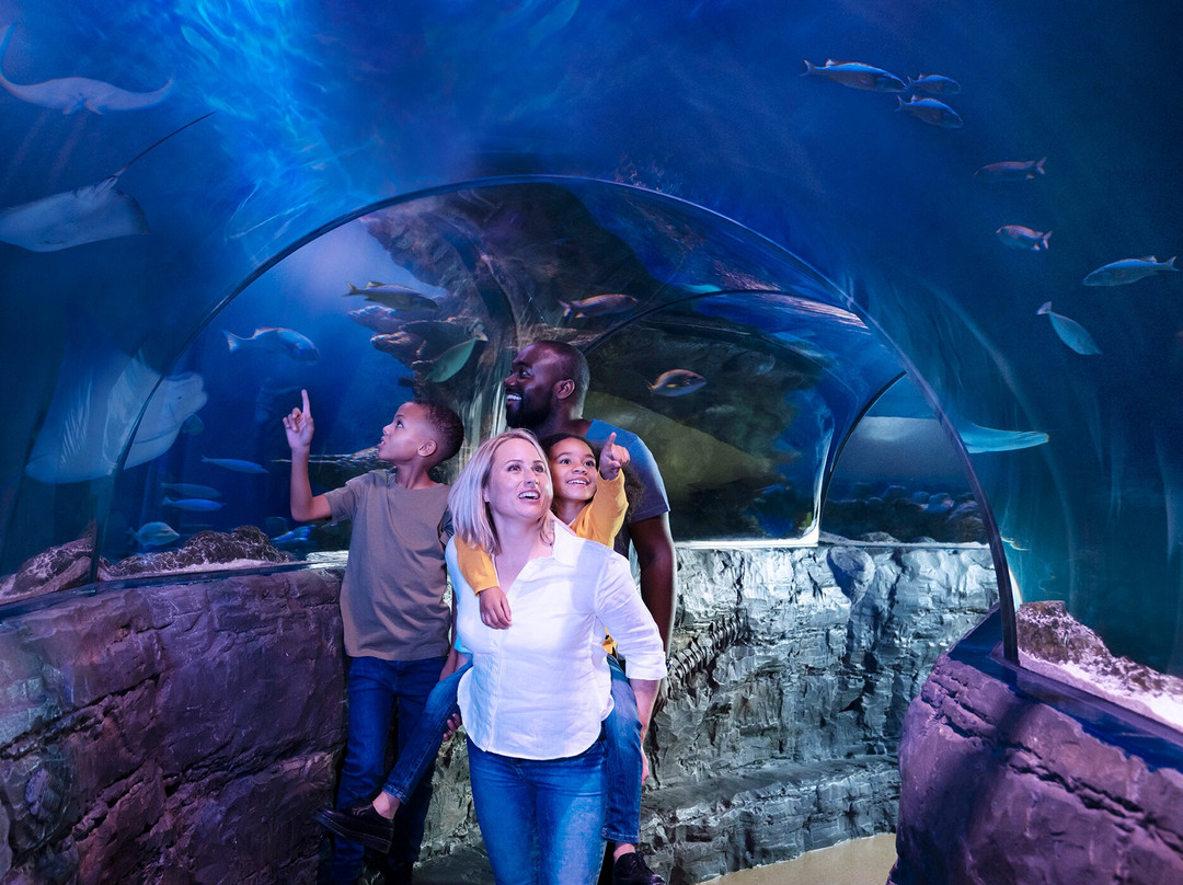 SEA LIFE Aquarium-卡尔斯巴德必去景点