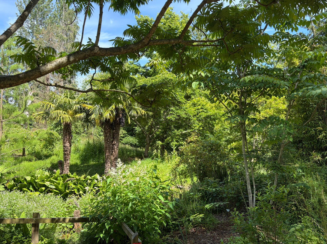 Batsford Arboretum-莫顿因马什必去景点