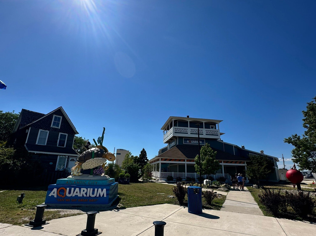 Atlantic City Aquarium Historic Gardner's Basin-大西洋城必去景点