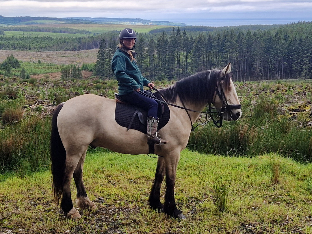 Bespoke Equestrian Ireland-都柏林必去景点