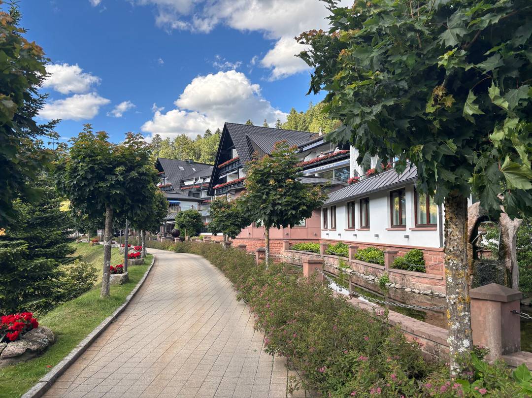 多棱伯格酒店（德国） Hotel Dollenberg主图