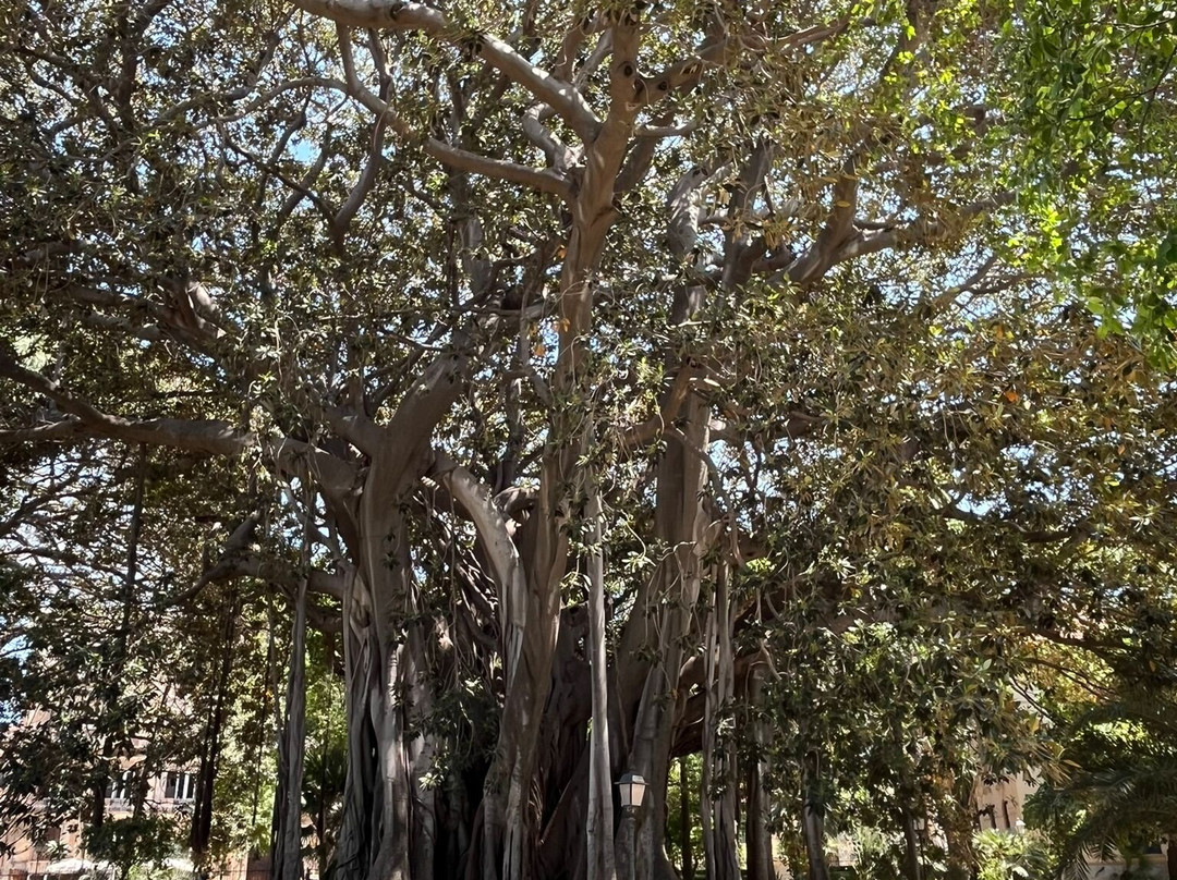 Giardino Garibaldi-巴勒莫必去景点