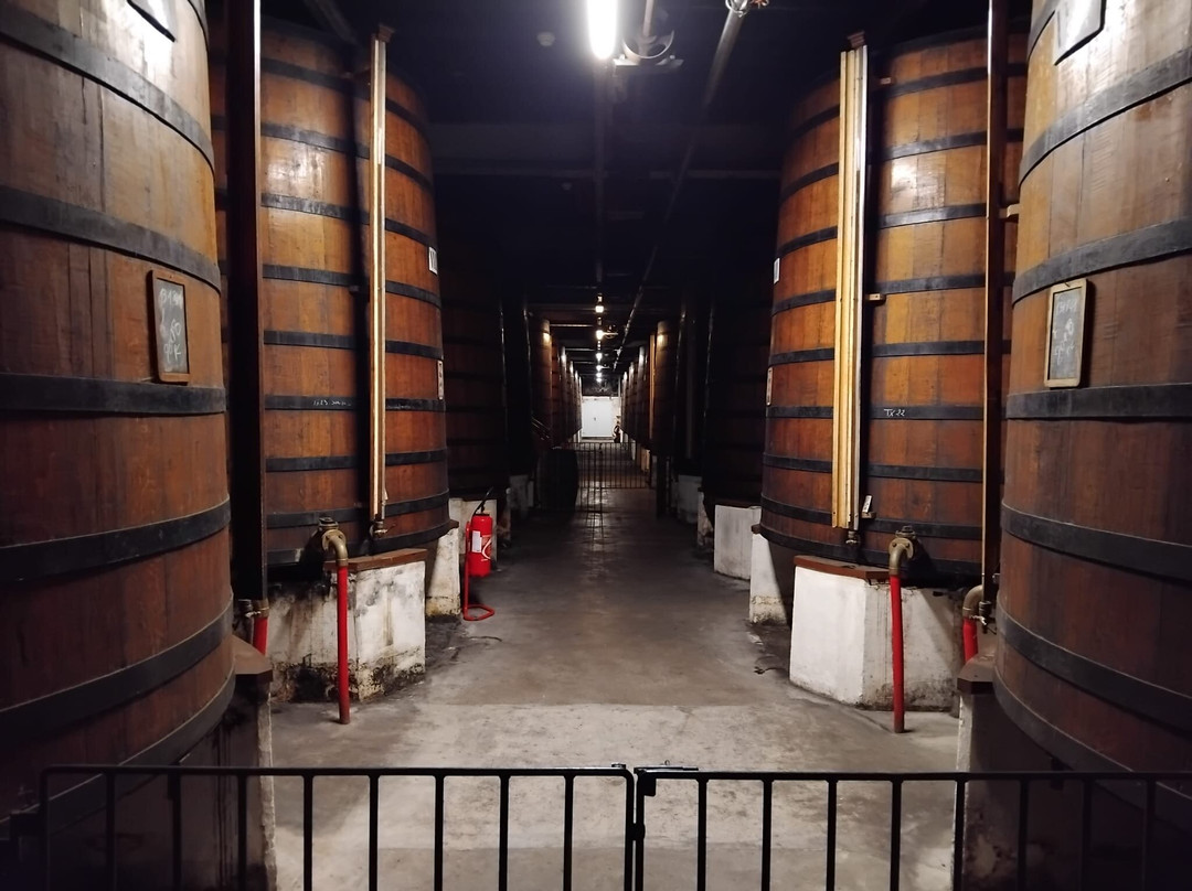 Martell Cognac's Visitors Center-干邑必去景点