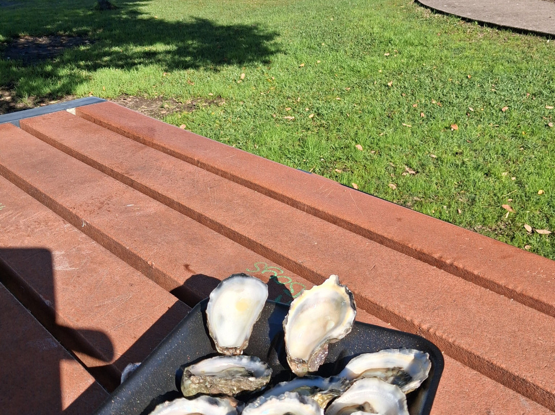 Cole Bros Oysters-Karuah必去景点