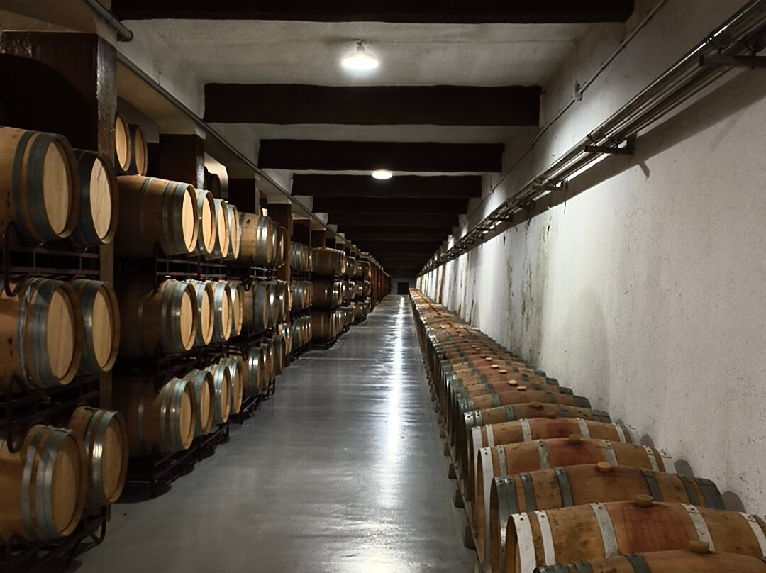 Bodegas Franco Espanolas-洛格罗尼奥必去景点