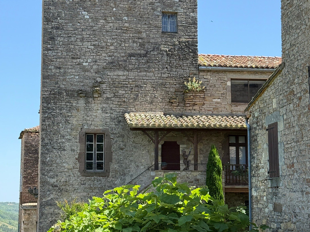 Halle de Cordes-sur-Ciel-谢河畔科尔德必去景点