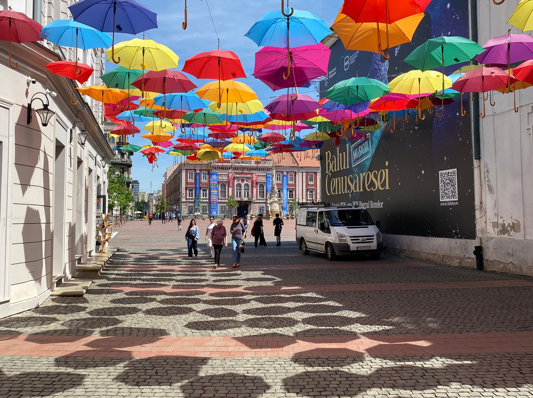 Timisoara Free Tours-蒂米什瓦拉必去景点