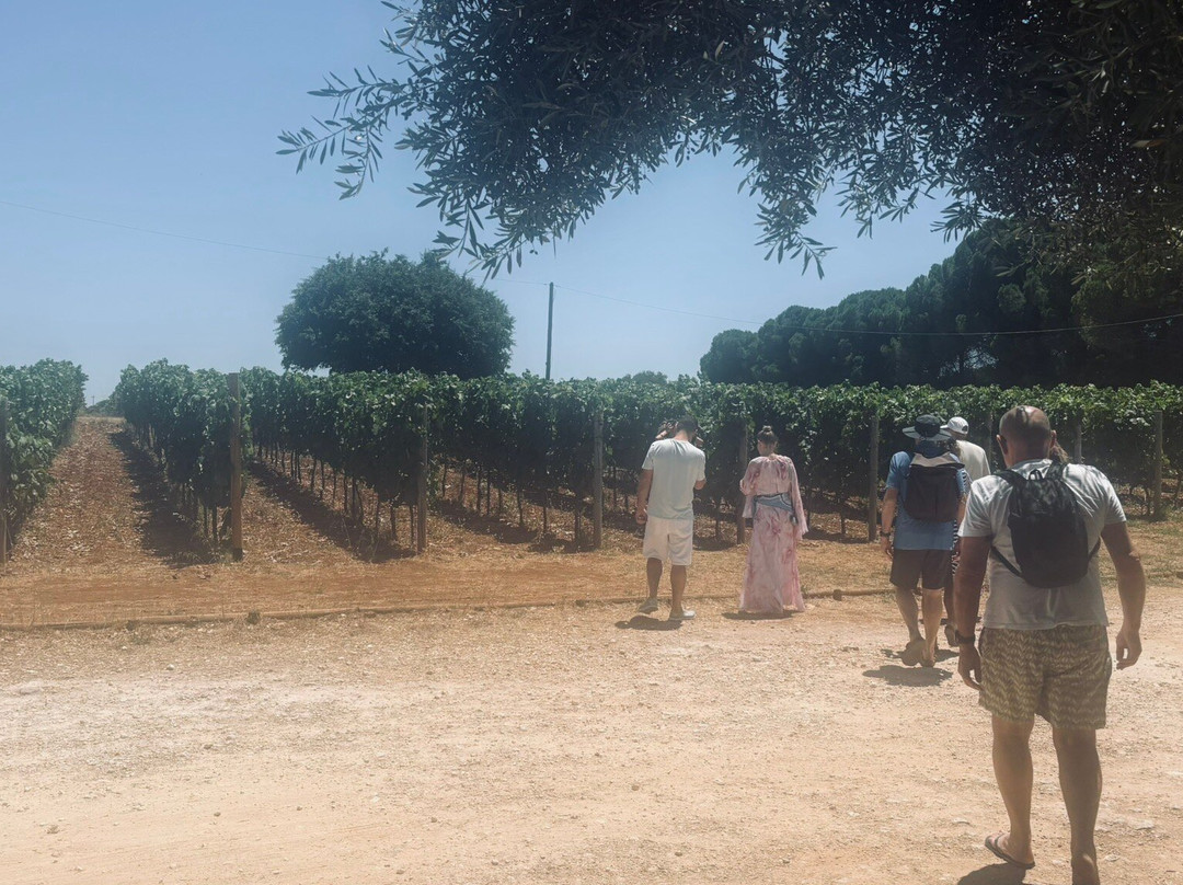 Gentilini Winery & Vineyards-Minia必去景点