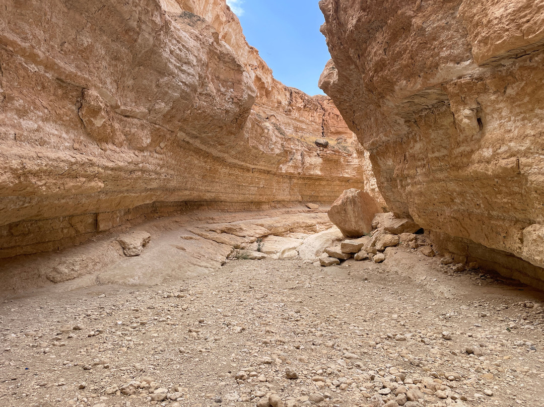 Tamerza Canyon-吐泽尔必去景点