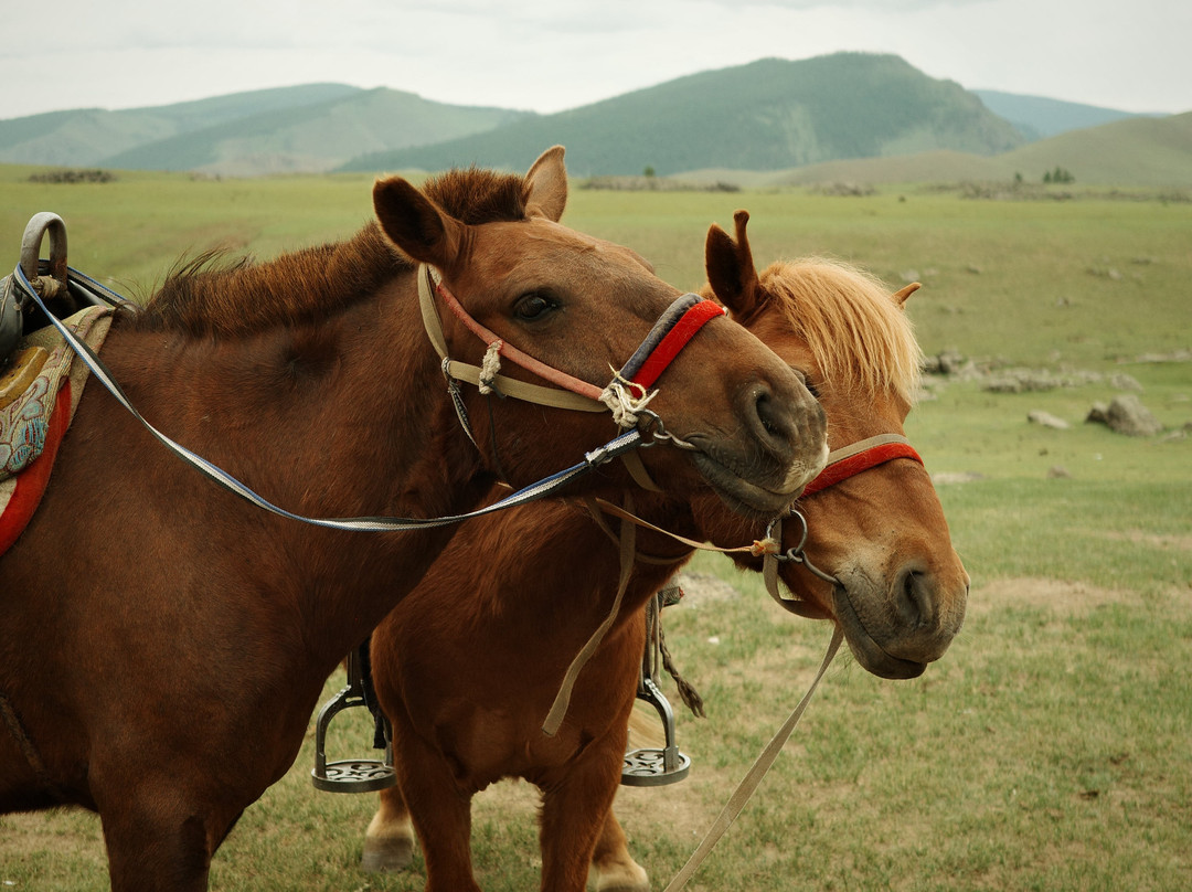 Sunpath Mongolia-乌兰巴托必去景点