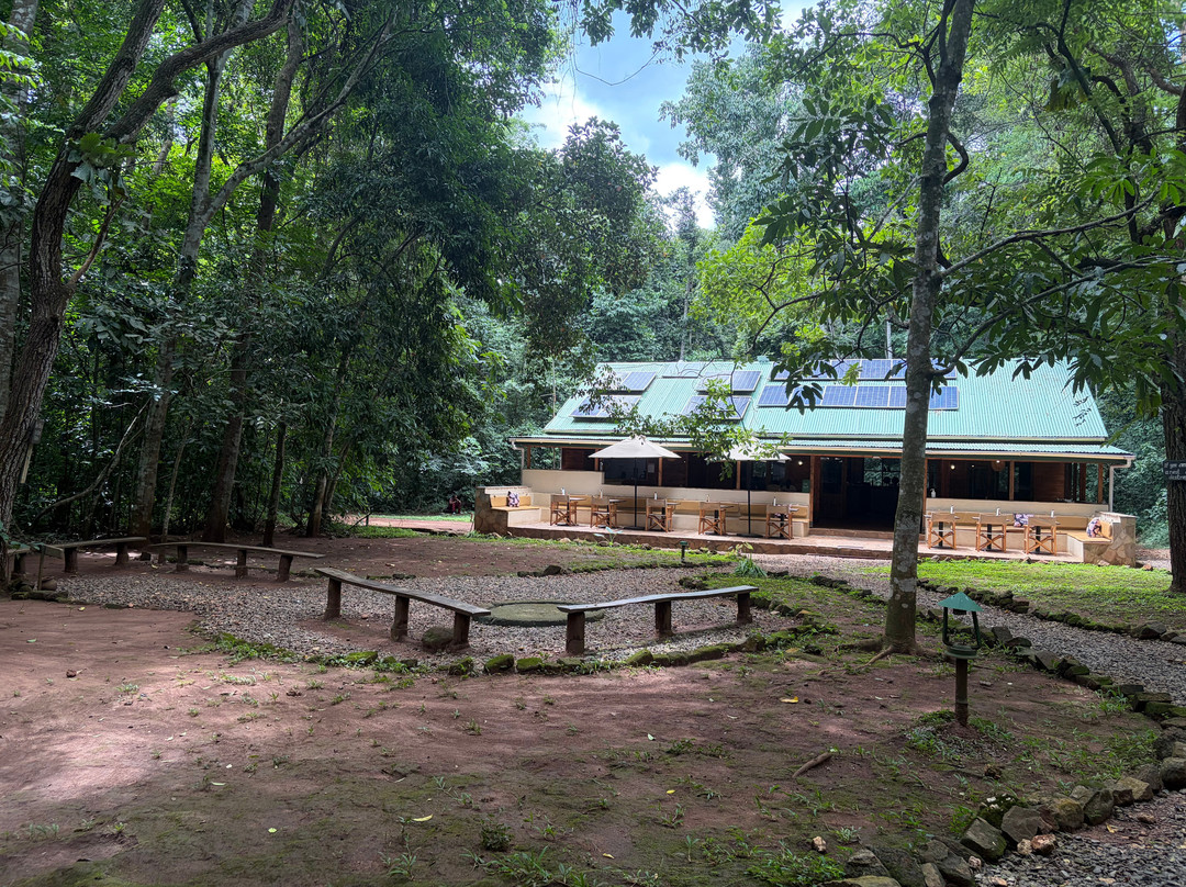 Budongo Forest-Western Region必去景点