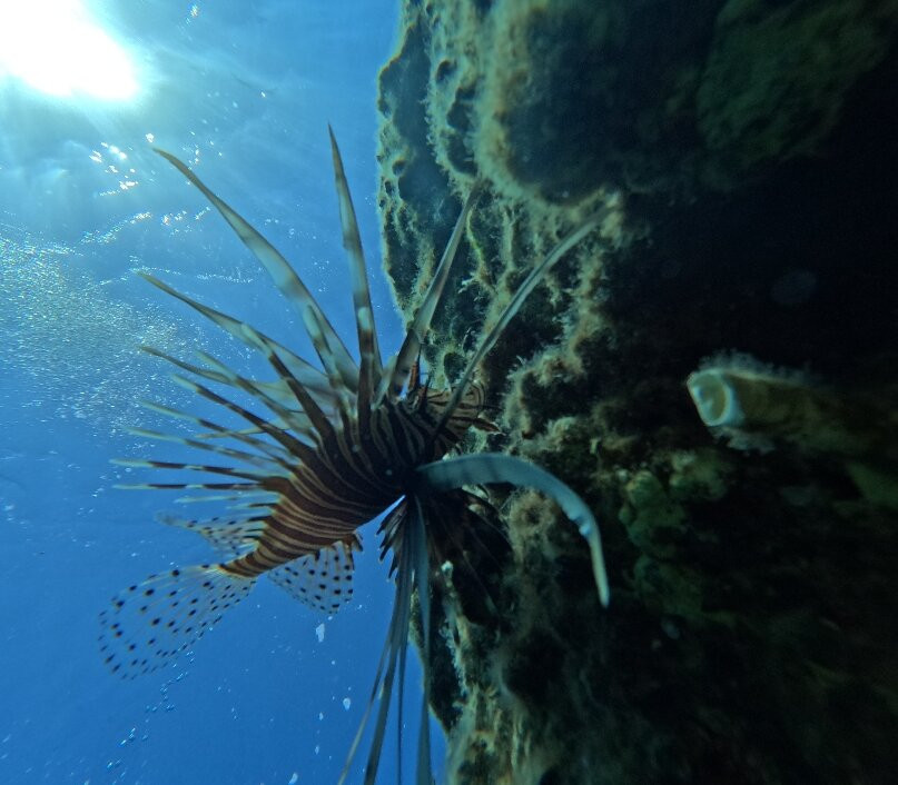 Arian Diving Centre-卡达米那必去景点
