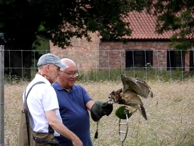 York Bird of Prey Centre-伊辛瓦必去景点