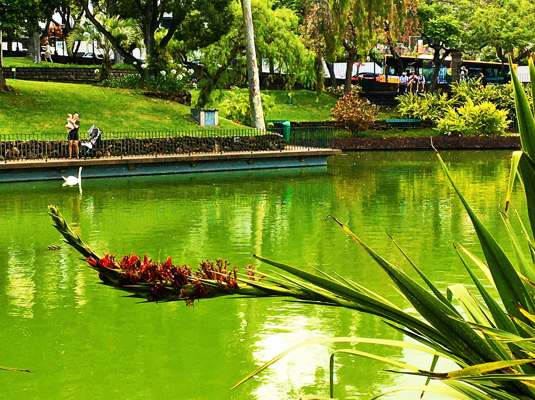 Parque de Santa Catarina-沙尔必去景点